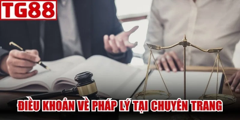 Những điều khoản chung về giới hạn pháp lý tại chuyên trang